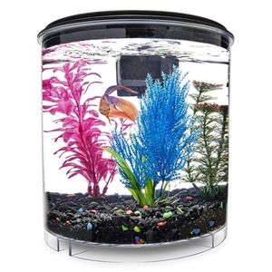 4 Betta tanks and more